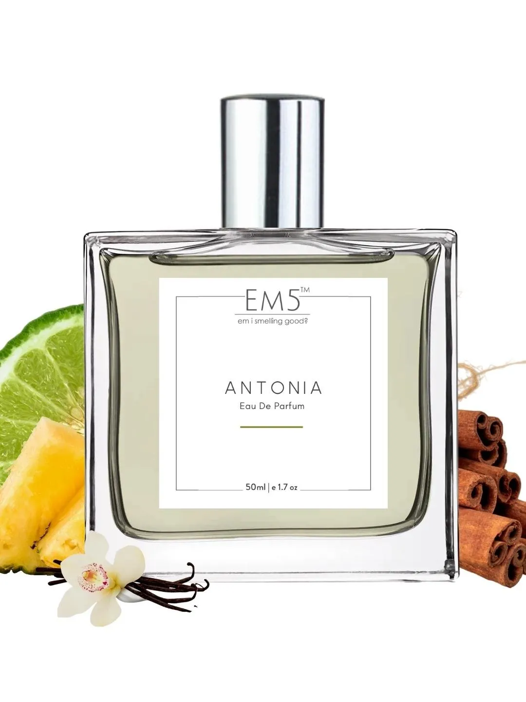 EM5™ Antonia Perfume for Men | Eau De Parfum Spray | Woody Earthy Spicy Fragrance Accords | Luxury Gift for Him |  50 ml