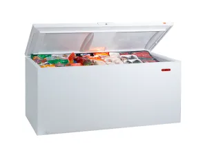 Torrey Chtc 25 E Congelador Tapa Y Cofre 25 Pies Cubicos